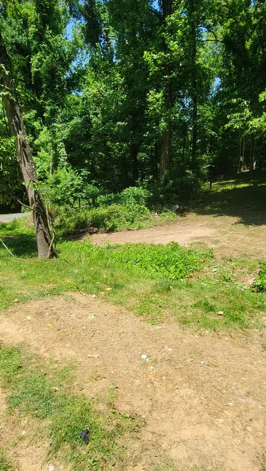 commercial junk removal charles town wv