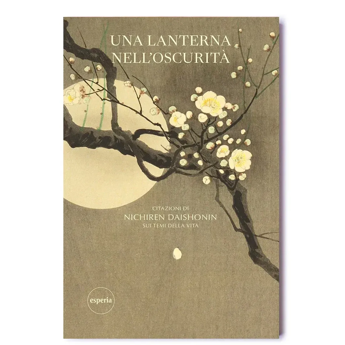 Un libro intitolato una lanterna nell'oscurità ha un ramo di albero con dei fiori sopra