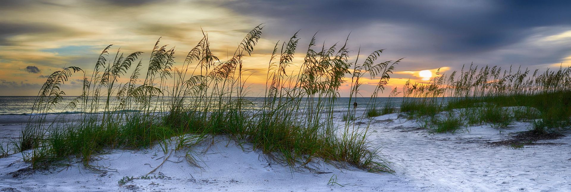 A sunset over a sandy beach with tall grass growing out of the sand.