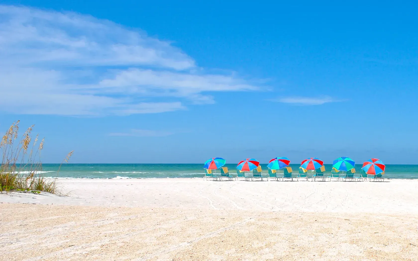 A row of colorful umbrellas are lined up on a beach.