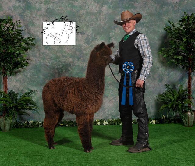 A man in a cowboy hat stands next to a brown alpaca