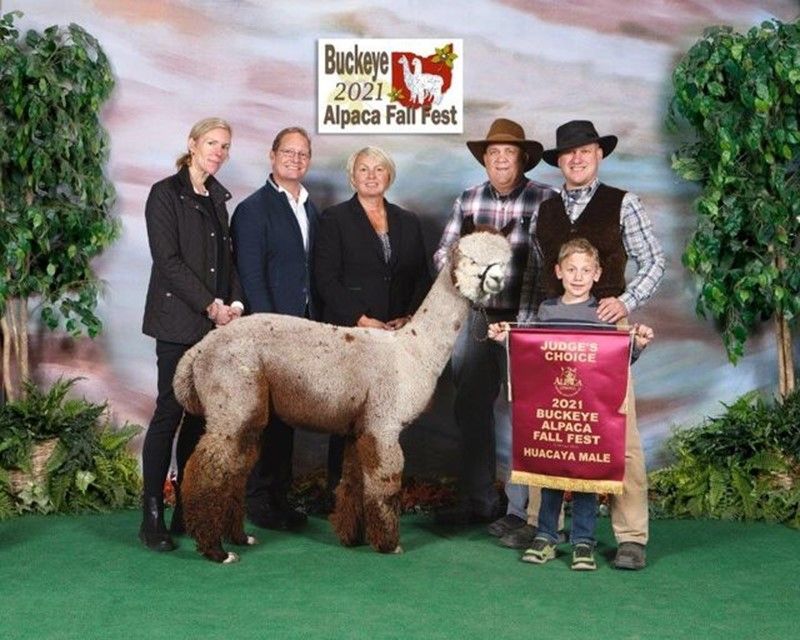 A group of people posing for a picture with an alpaca in front of a sign that says buckeye 2021 alpaca fair post