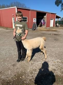 A young boy is holding a sheep in front of a red barn.