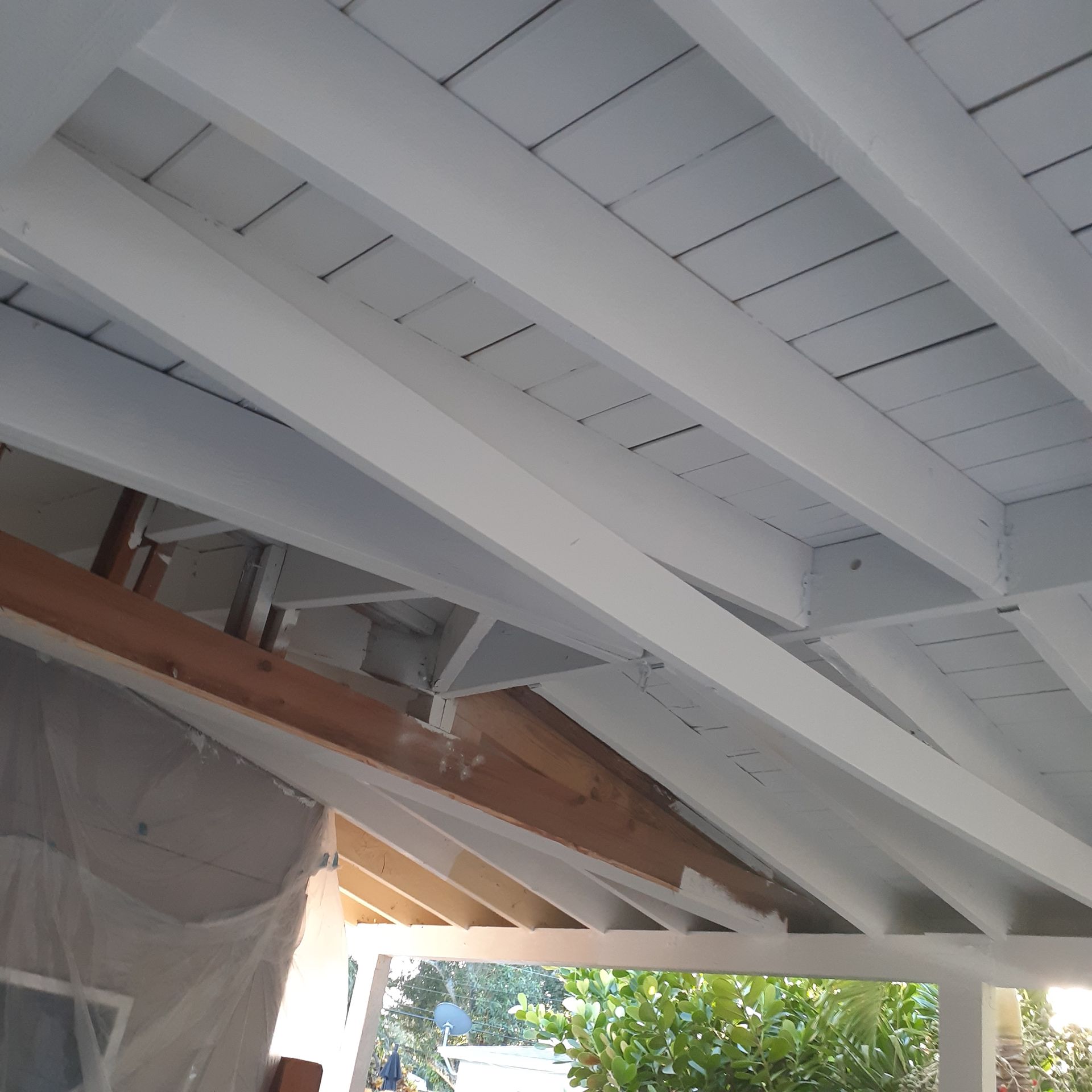 The ceiling of a building is painted white