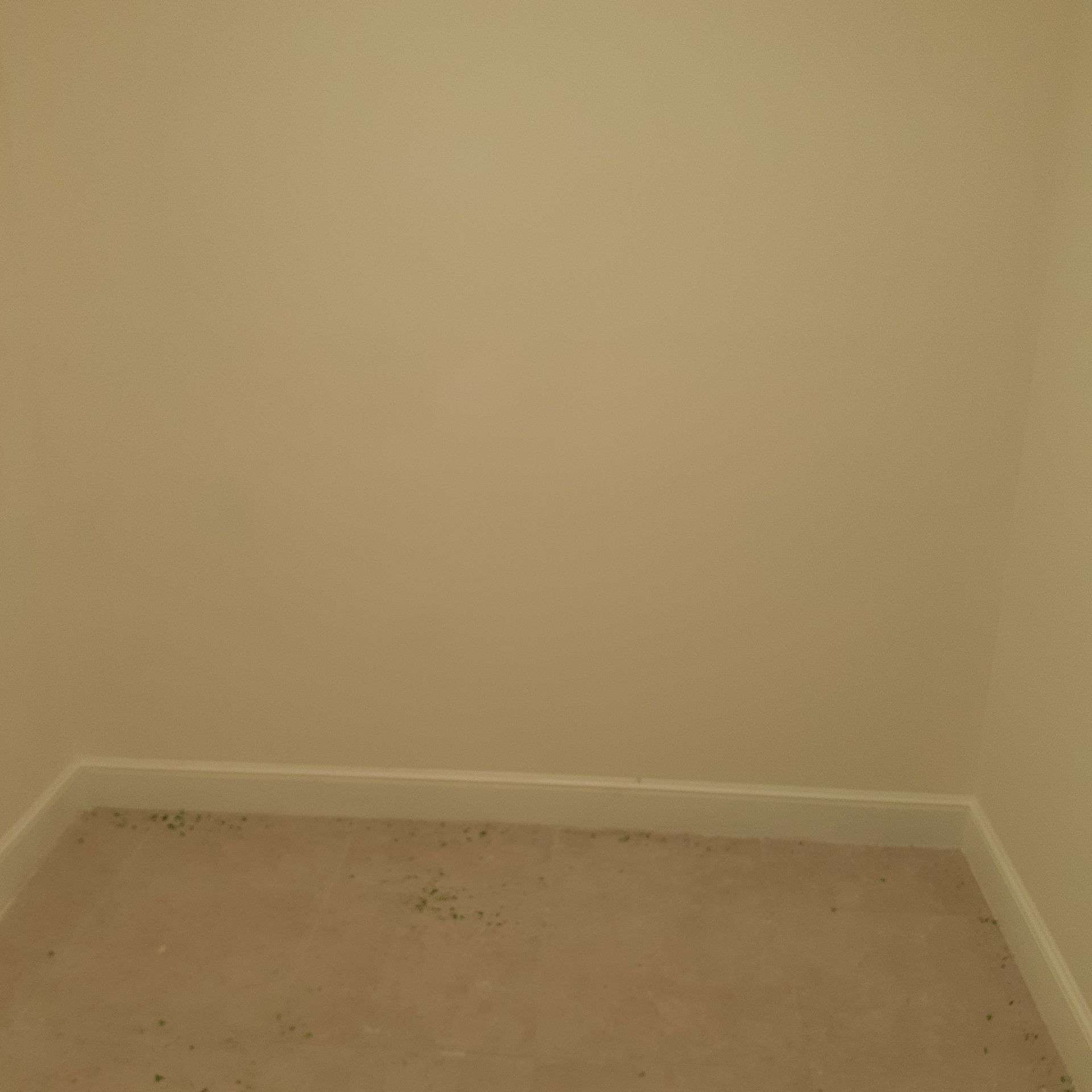 An empty room with a carpeted floor and white walls.