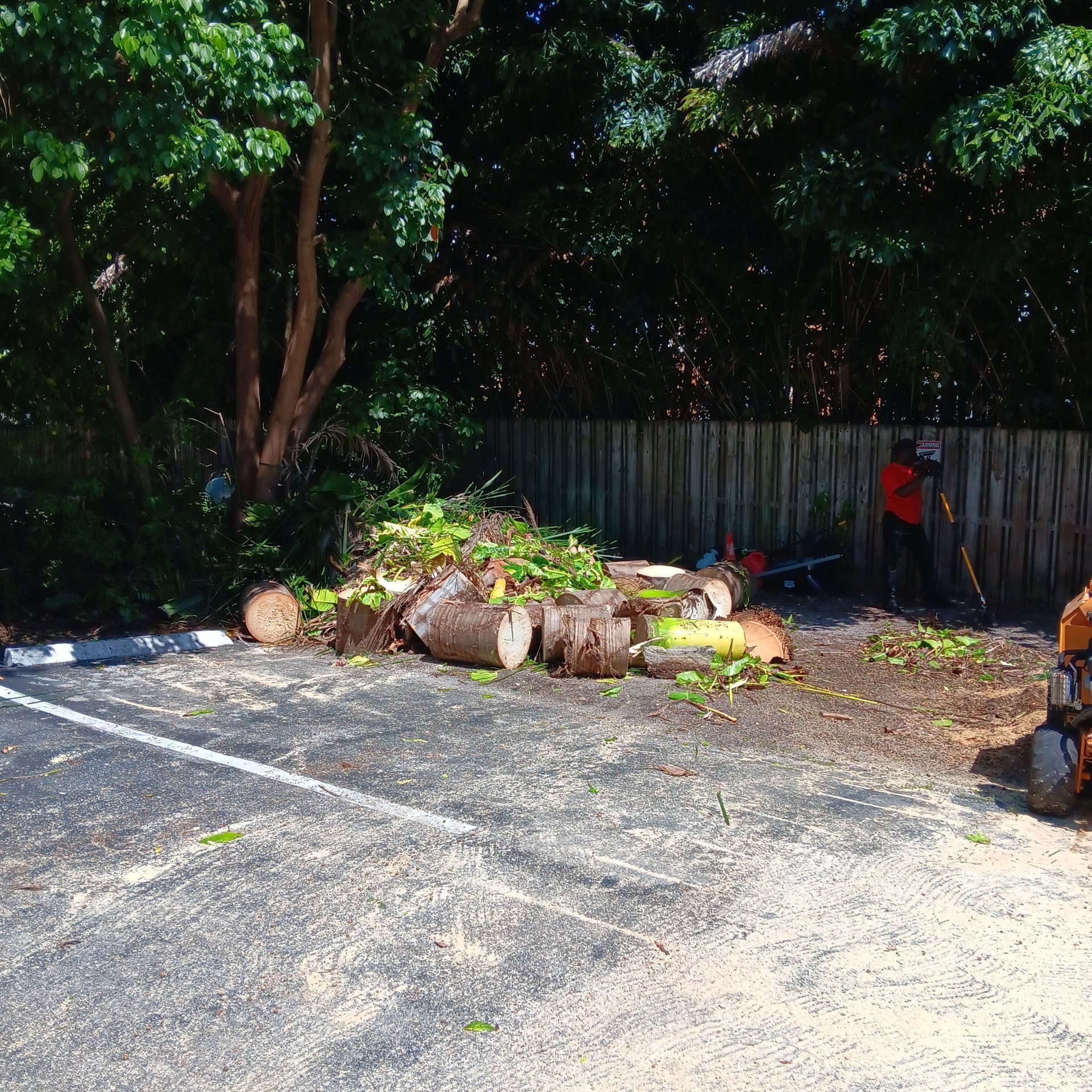 A pile of logs laying on the ground in a parking lot