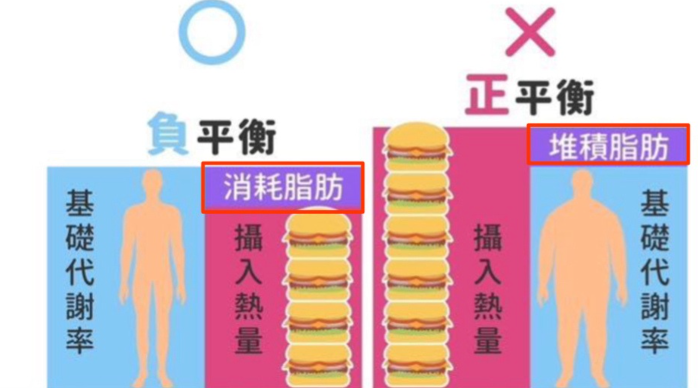 告別減肥藥的掙扎：CNFCD 全人健康計畫，開啟你的健康減重新思維 - 創造「能量負平衡」： CNFCD協助您透過精準的熱量管理，讓身體消耗的能量高於攝取的能量 。這會促使身體動用儲存在脂肪細胞中的「多餘能量」 。