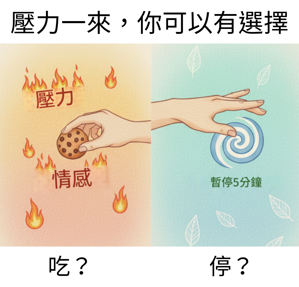 【CNFCD健康計畫 Day 18】壓力一大就暴飲暴食?你知道情緒正在操控你的食慾嗎-CNFCD 計畫專業觀點: 真正的自控力,不是跟食物硬碰硬,而是管理好你的情緒荷爾蒙與大腦的獎勵機制。CNFCD 系統教你一套高效的壓力與代謝緩衝策略,從生理層面打破這個惡性循環,讓你重新掌握情緒與食慾的指揮權。