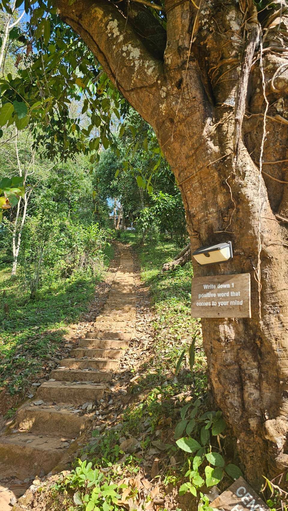 在瀑布聲中,我與自己進行了深度的對話。我清晰地意識到:現在的人生狀態(包括這一個月的自由),完全是我過去每一刻選擇的總和。當你不再是為了錢而工作,而是全心關注在當下,做自己真正喜歡、且對他人有益的