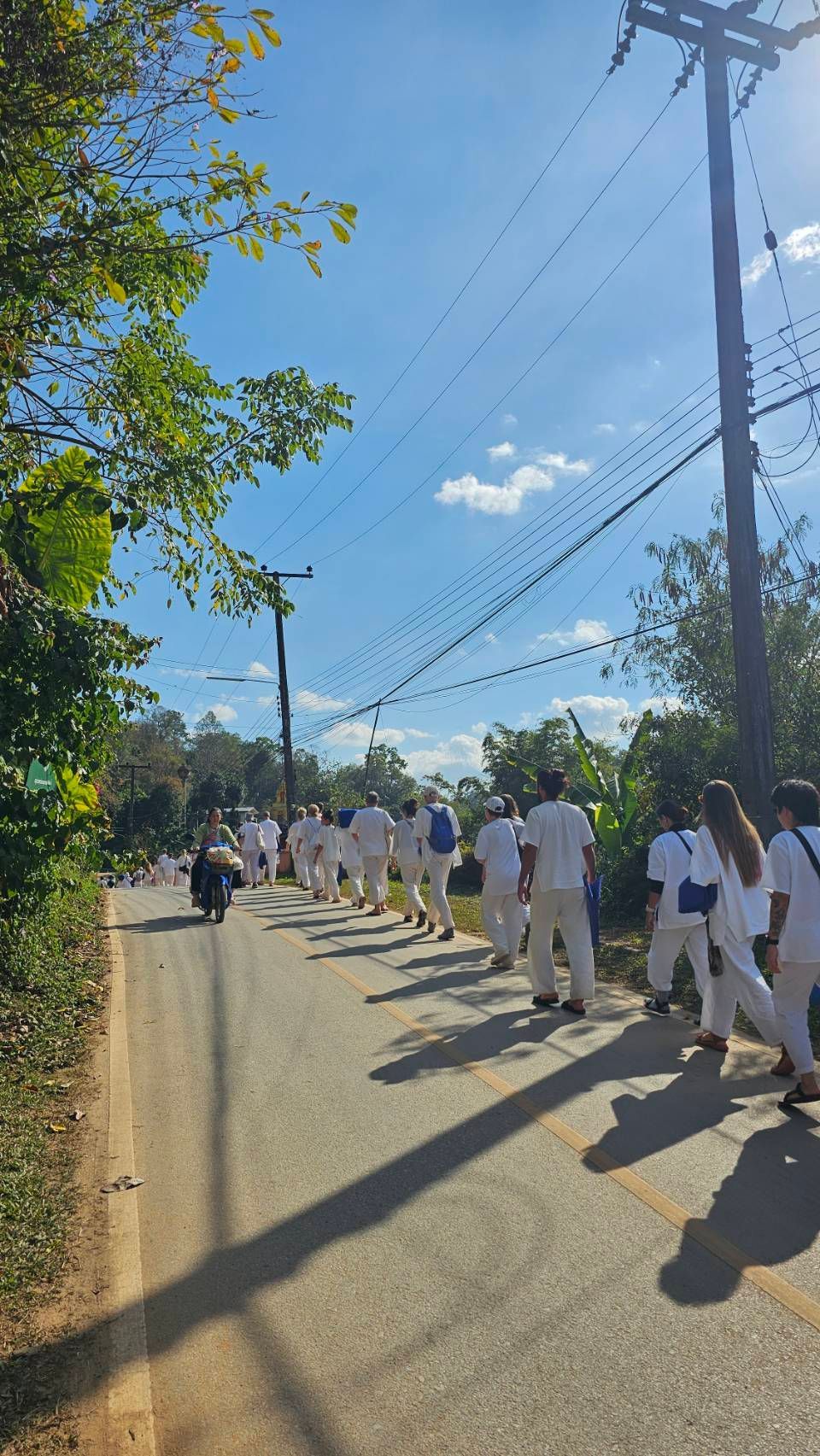 在清邁森林冥想 72 小時後，我對「商業模式」有了全新的體悟 [ 清邁 PAPAE MEDITATION RETREAT ] -瀑布靜心：財富是「做喜歡的事」的副作用
在瀑布聲中，我與自己進行了深度的對話。我清晰地意識到：現在的人生狀態（包括這一個月的自由），完全是我過去每一刻選擇的總和。