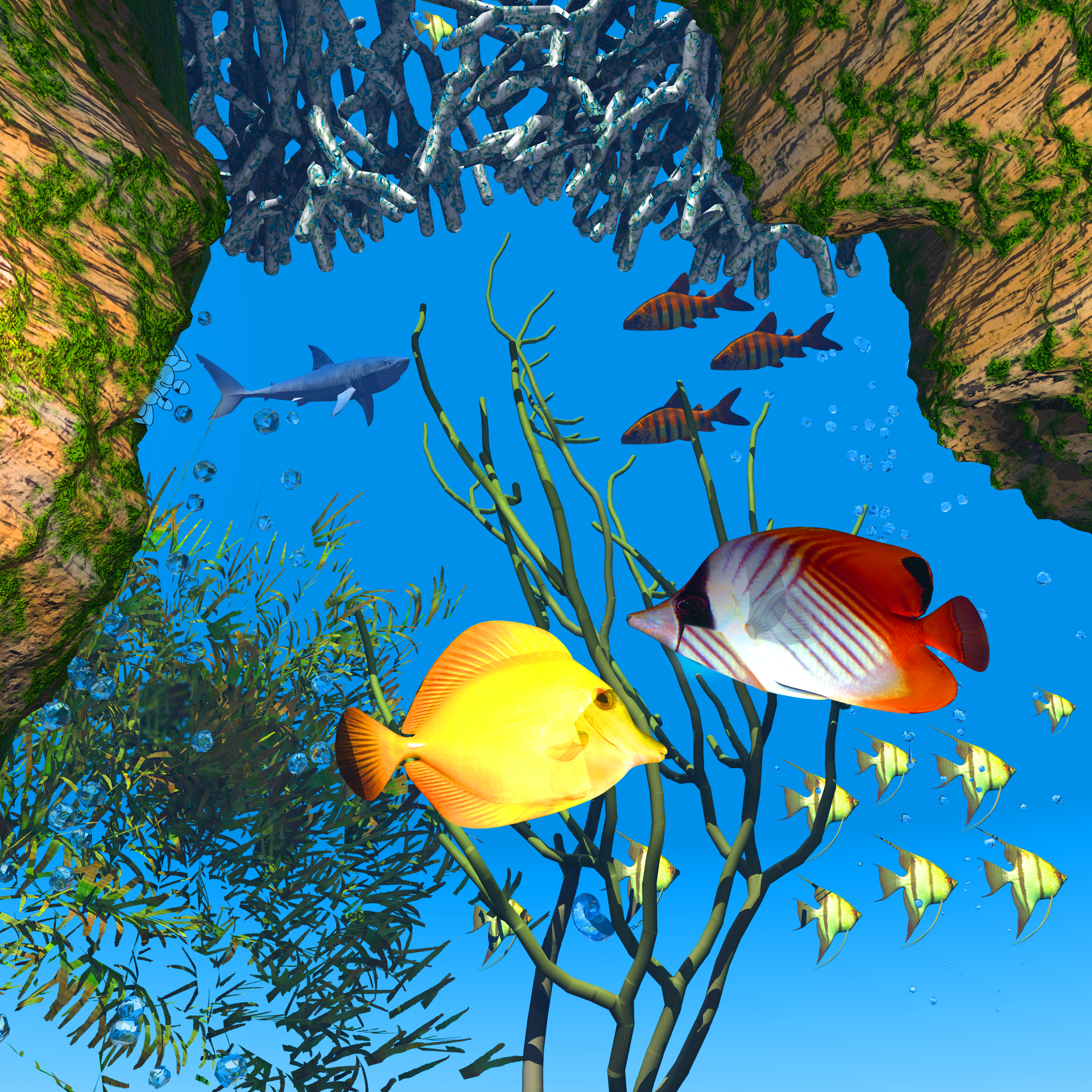 Underwater scene with fish and a shark swimming around coral and plants.