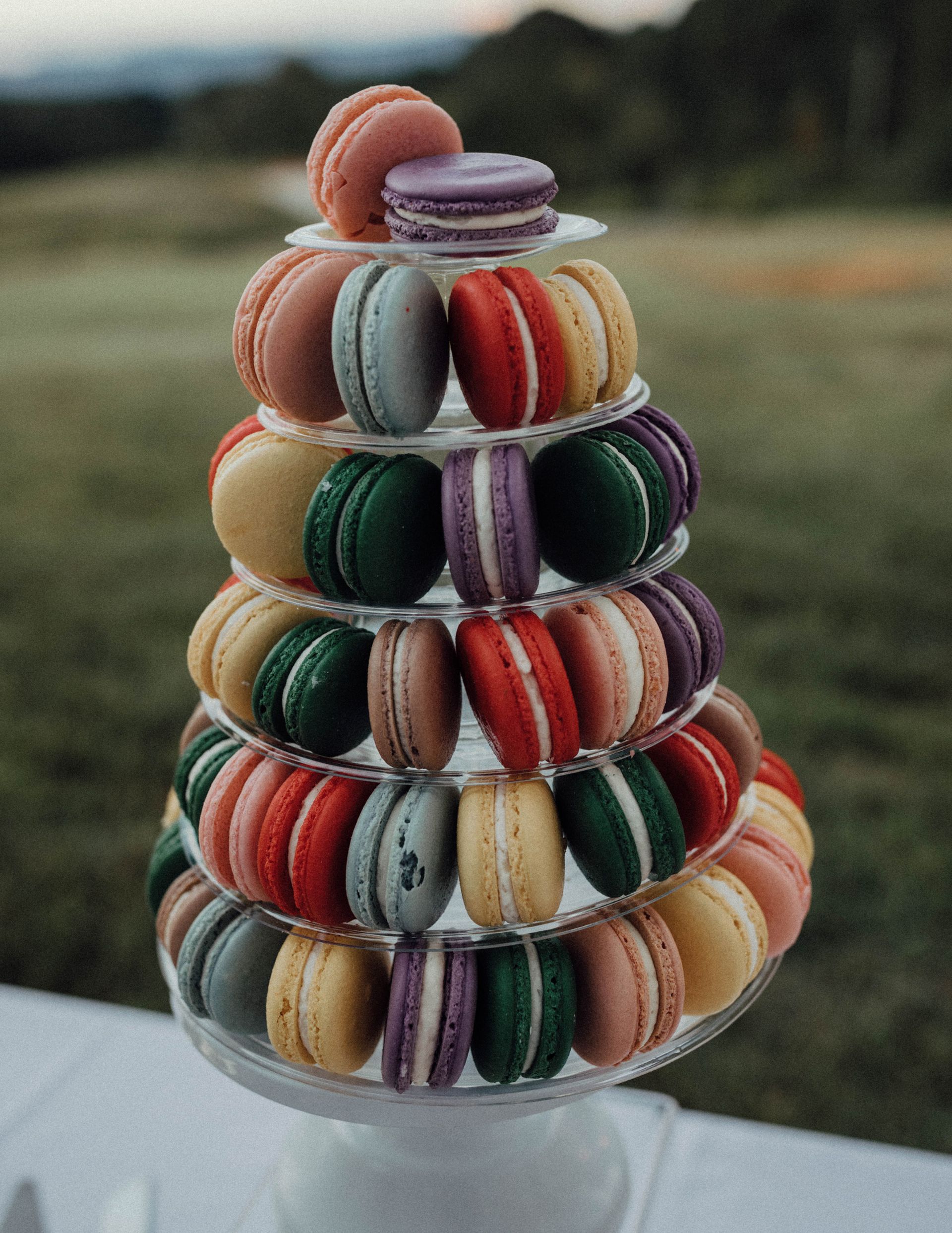 Farm Martial Arts Training Institute