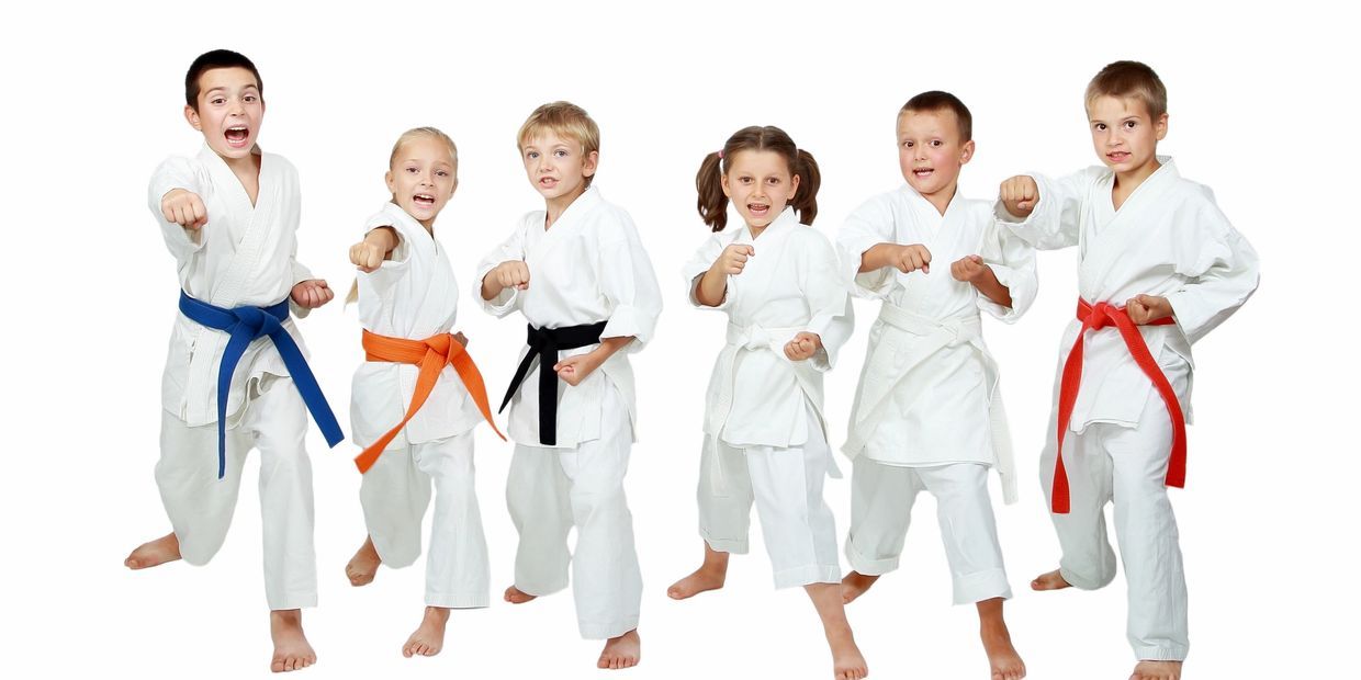 a group of children wearing karate uniforms with different belts