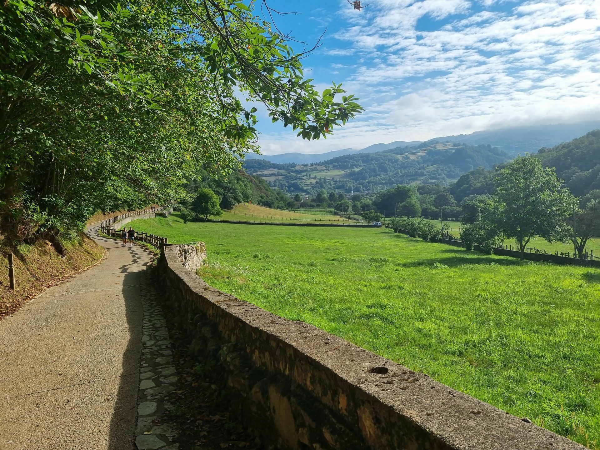 A path going through a grassy field with mountains in the background