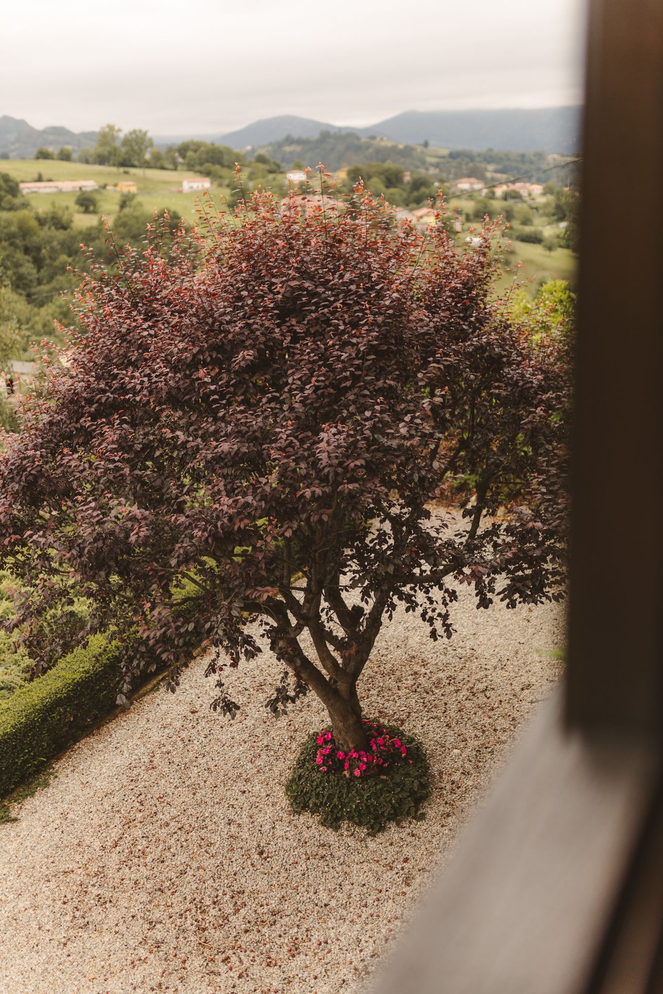 A tree in a gravel yard with mountains in the background.