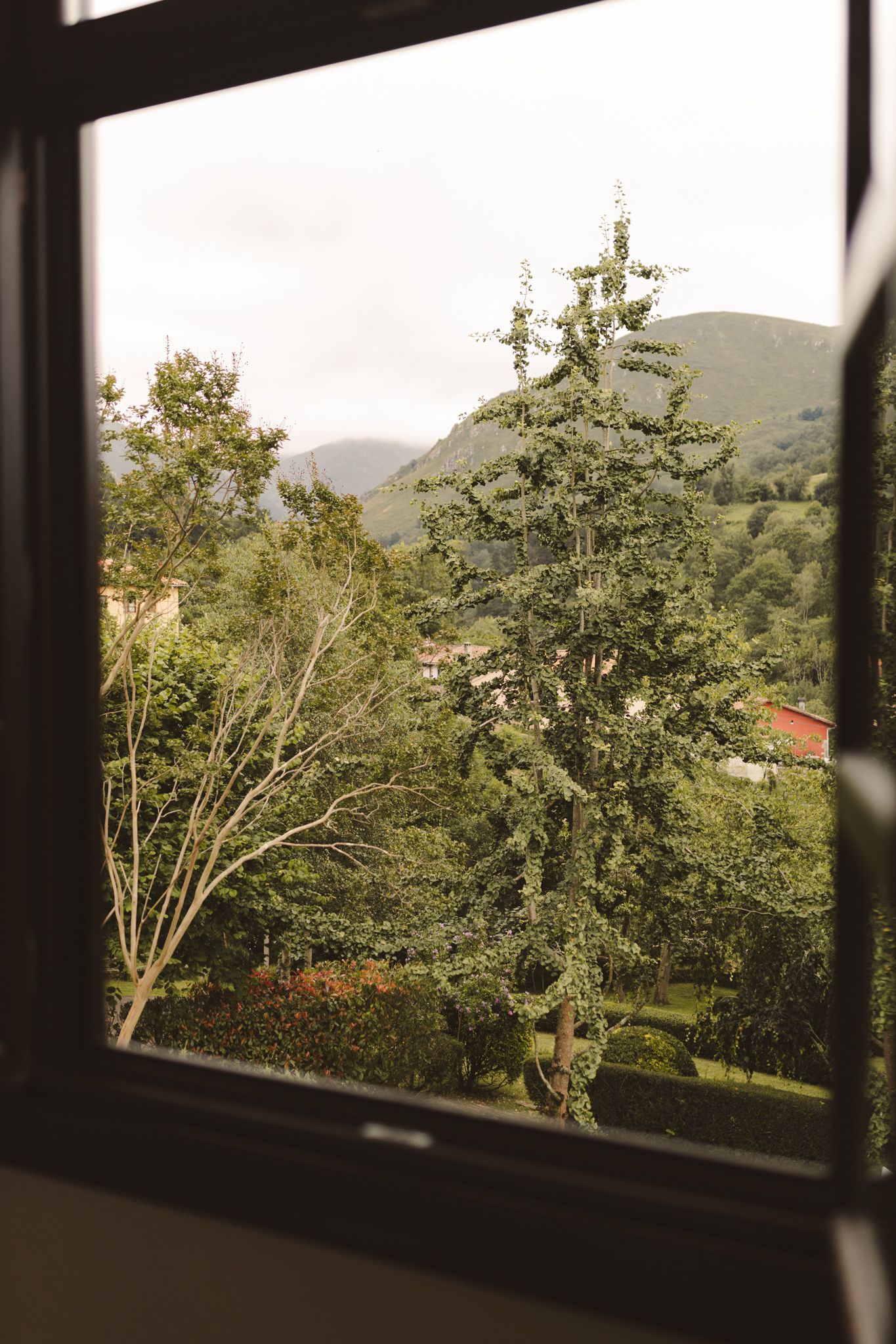 A window with a view of a forest and mountains.
