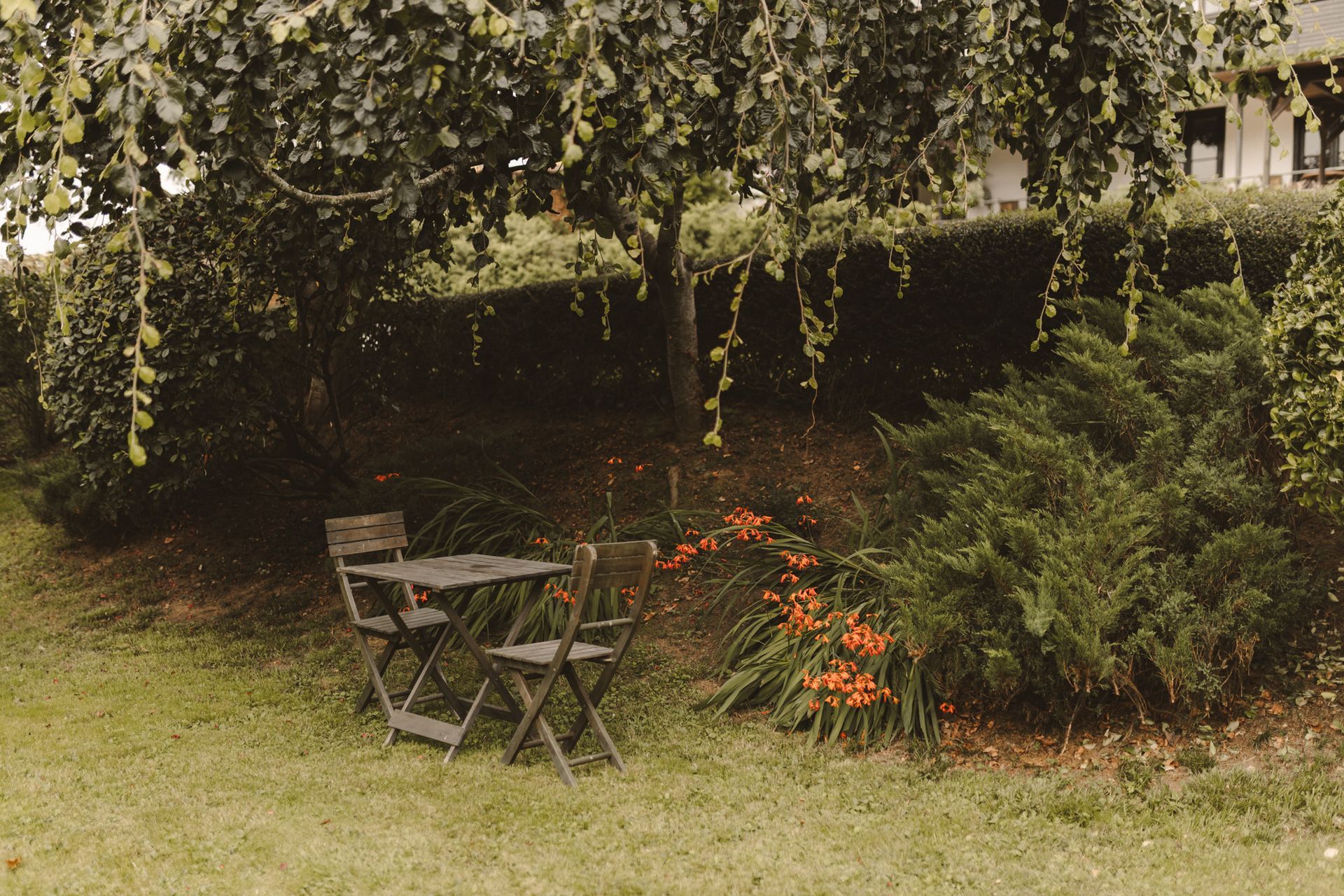 A table and chairs are sitting in the grass in a garden.
