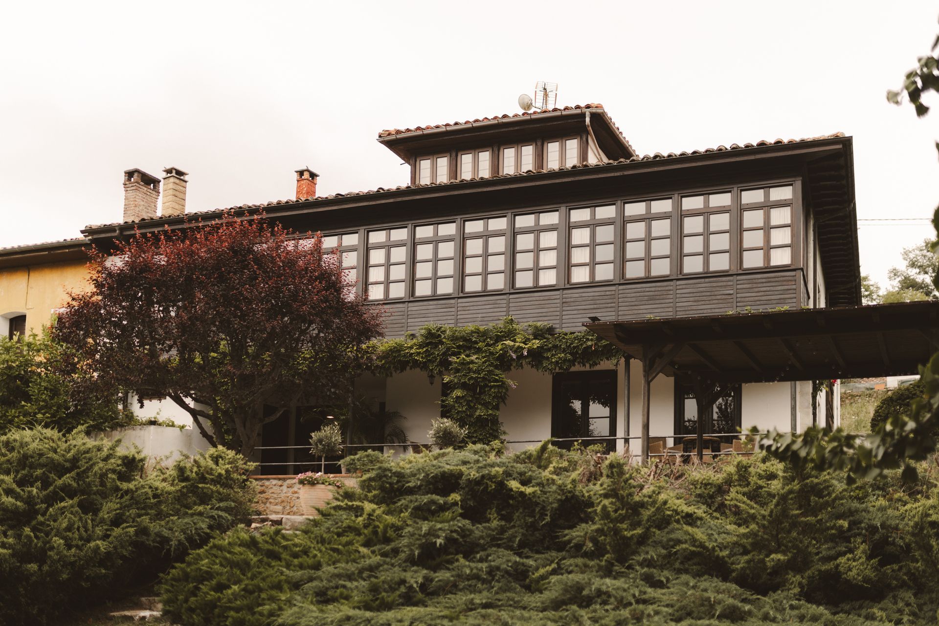 A large house with a lot of windows is surrounded by trees