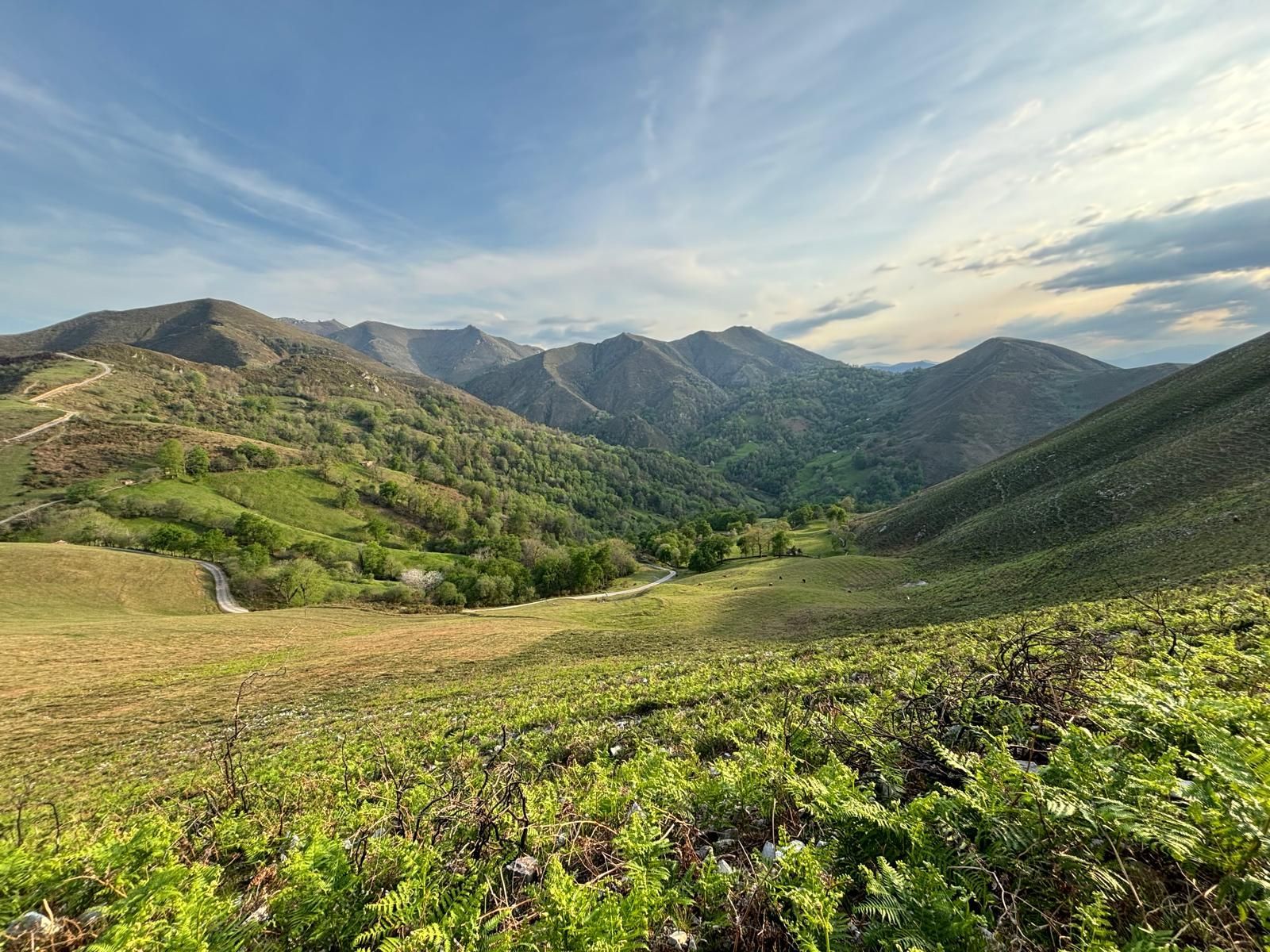 A view of a valley with mountains in the background