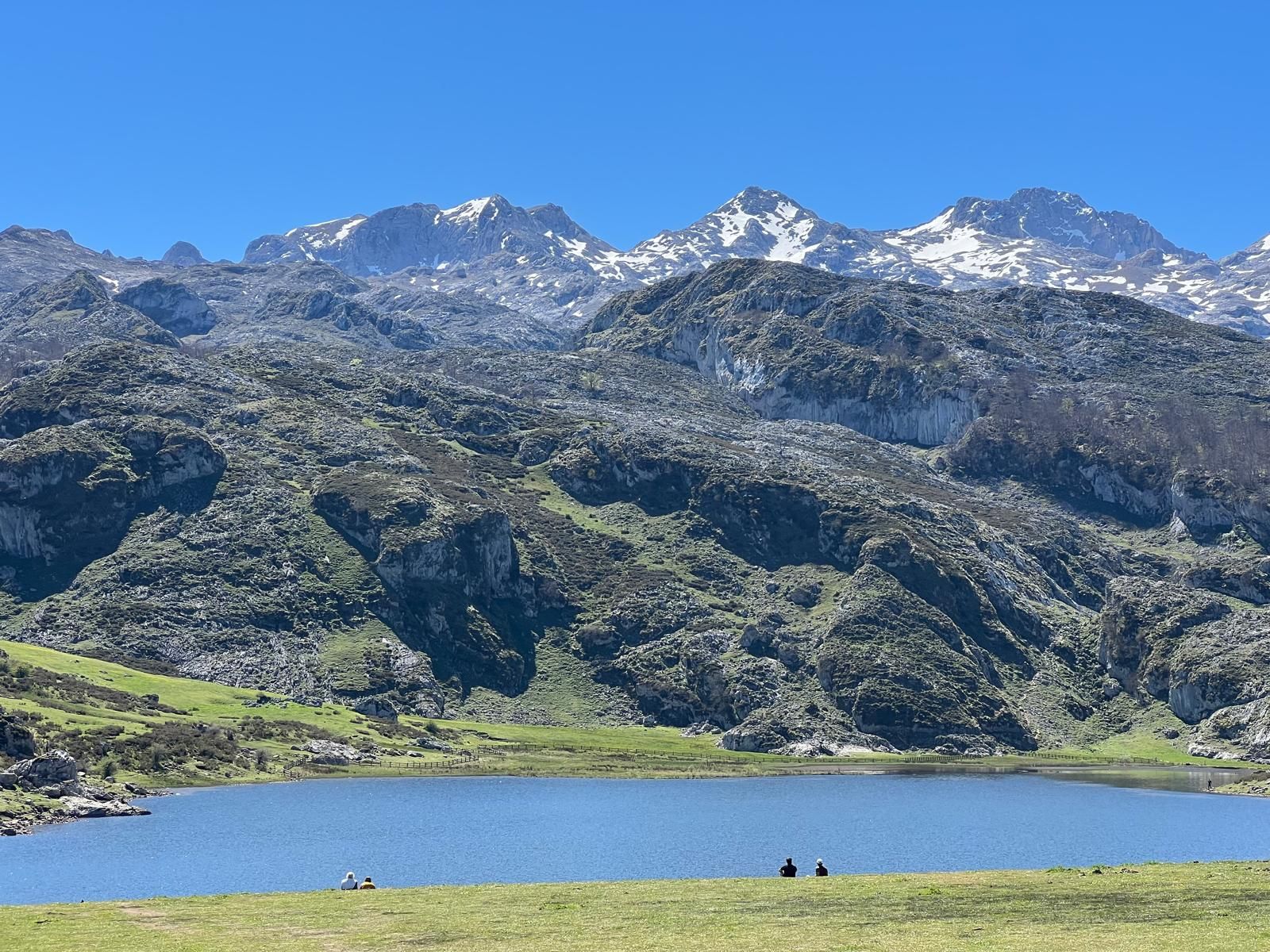 A lake in the middle of a grassy field with mountains in the background