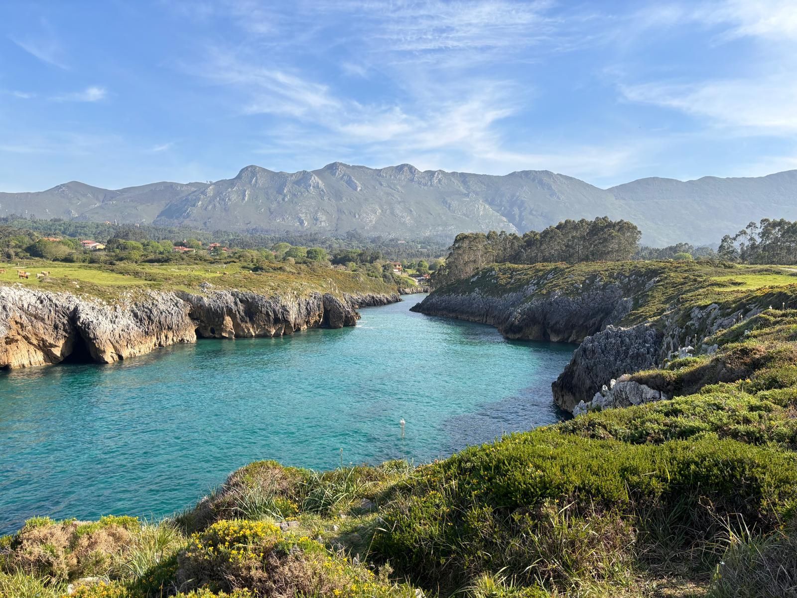 A river flowing through a lush green valley with mountains in the background.