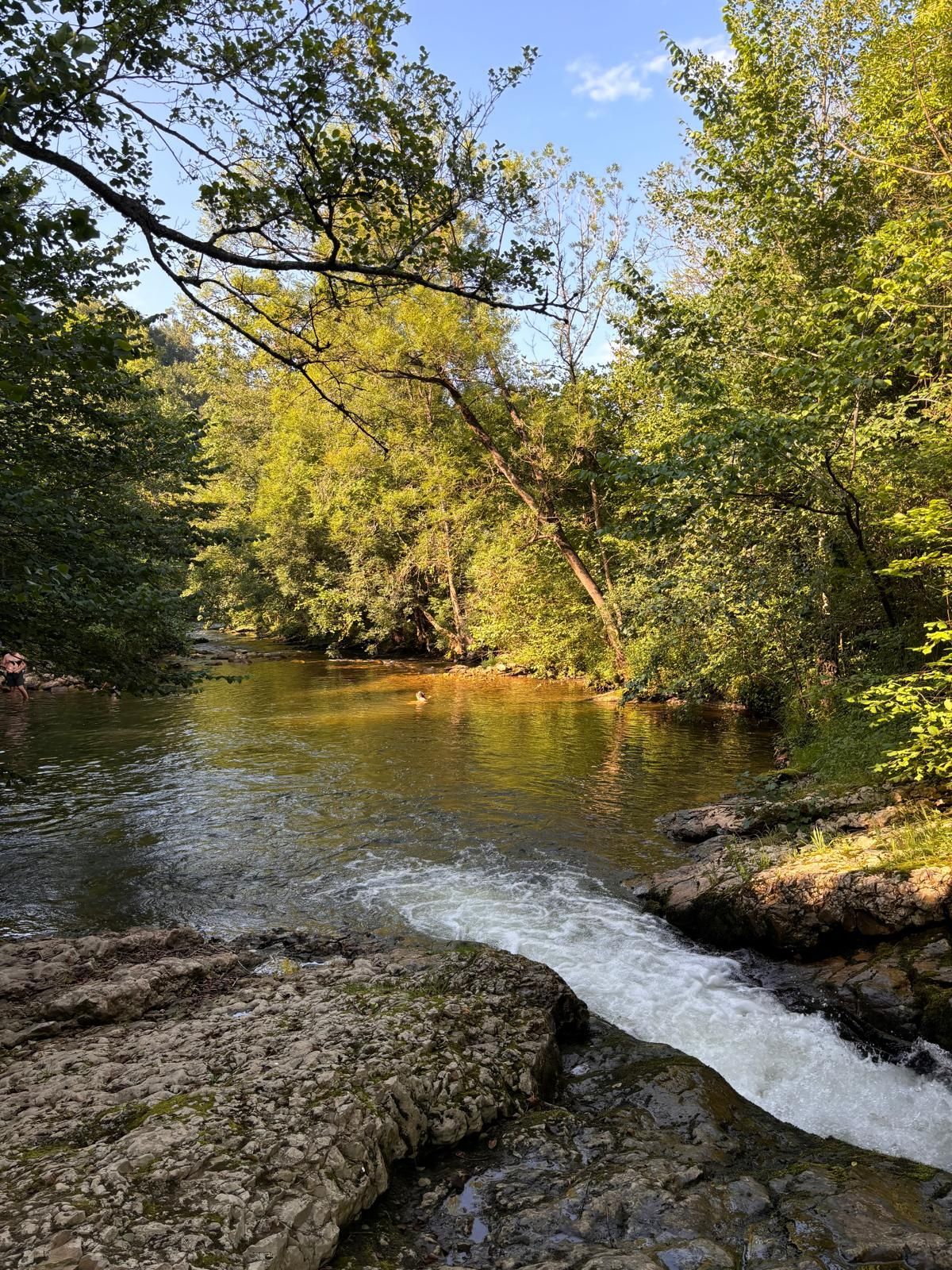 A river surrounded by trees and rocks in the middle of a forest.