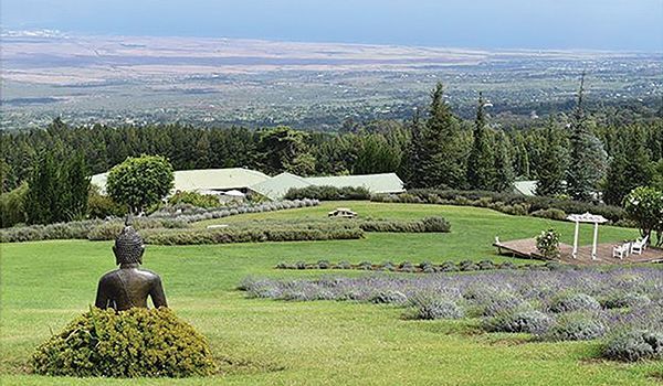 View at Ali‘i Kula Lavender