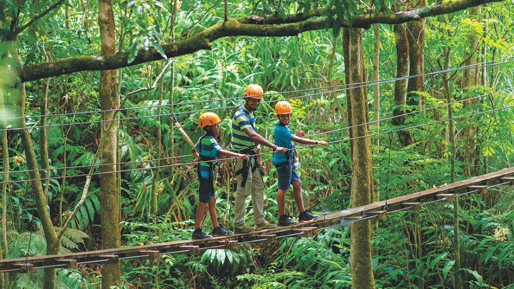 Botanical World Adventures offers lots of fun for the family