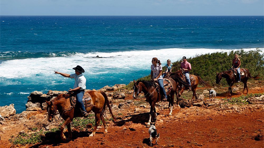 CJM Stables Trail Ride