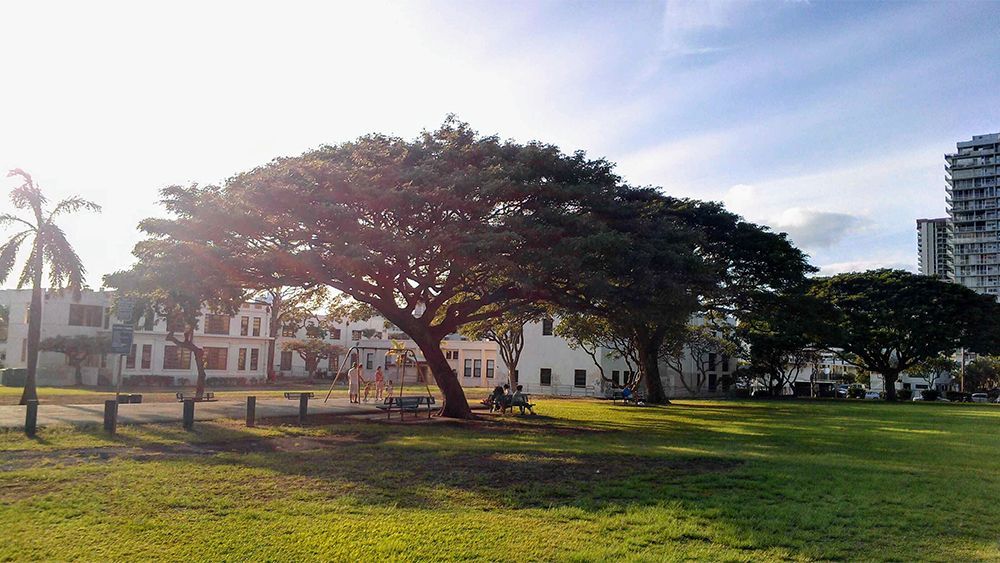 Makiki District Park