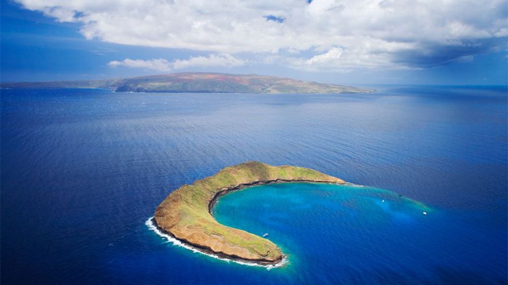 Molokini snorkeling