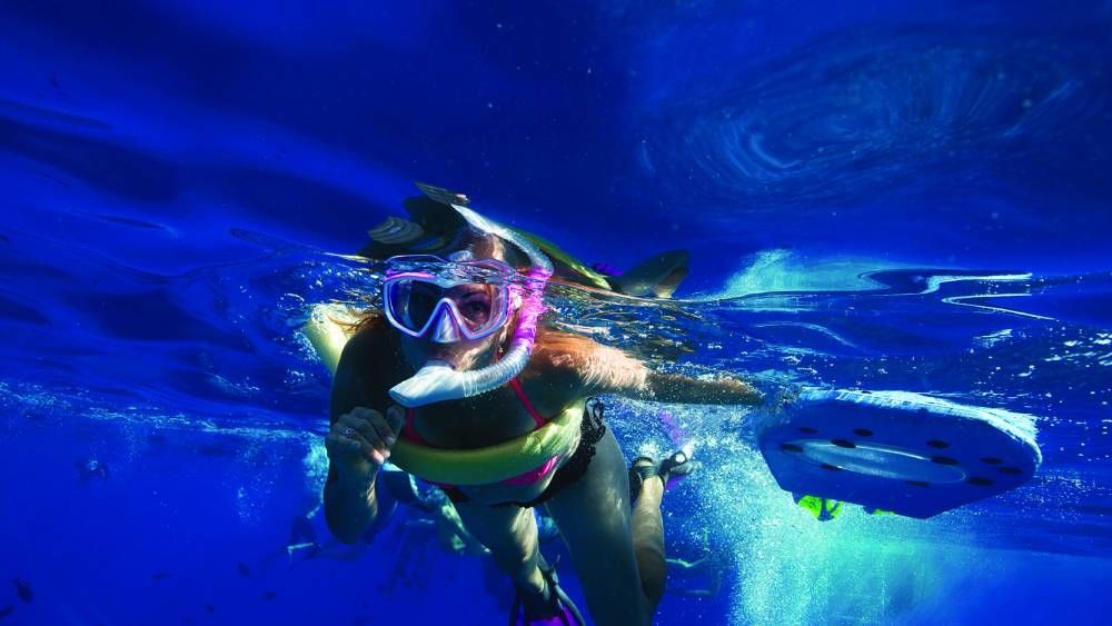 Snorkeling with PacWhale Eco-Adventures