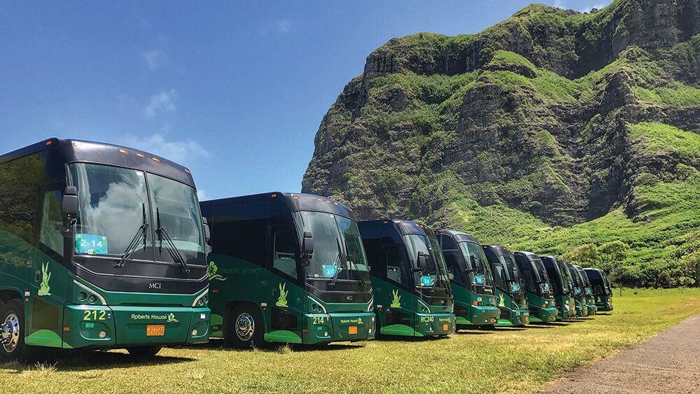 Robertʻs fleet of buses, ready to take you around the island!