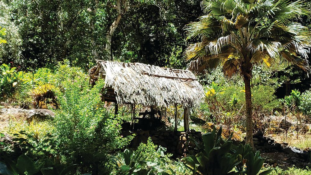 Waimea Valley hale