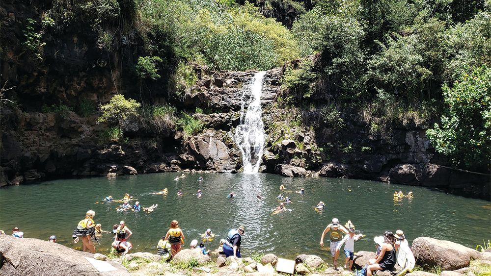 Waimea Falls