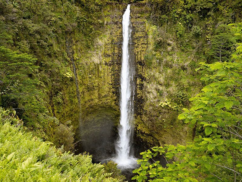 A waterfall in the middle of a forest surrounded by trees.