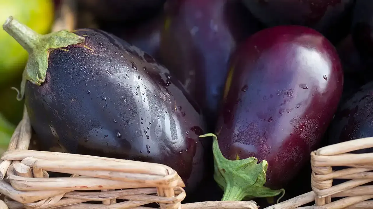 Discover Waimea farmers markets on the Big Island of Hawaii with This Week Hawaii.
