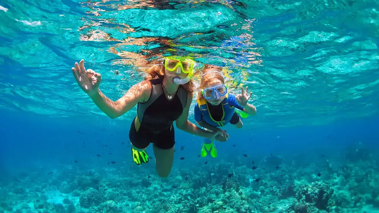 Let This Week Hawaii help you find the best snorkeling beaches on the Big Island of Hawaii.