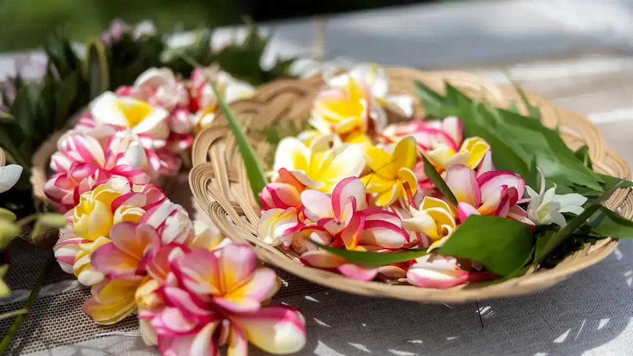Discover what to look for in a lei making class with This Week Hawaii.