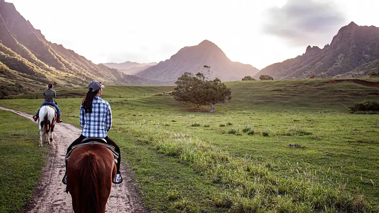 Discover how to book your next Hawaiian horseback tour with This Week Hawaii.