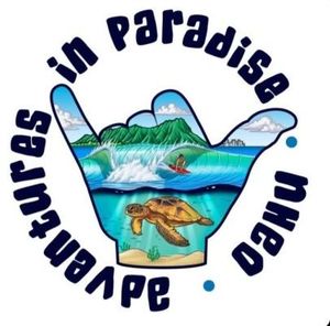 Private Group Surf Lessons with Adventures in Paradise Oahu