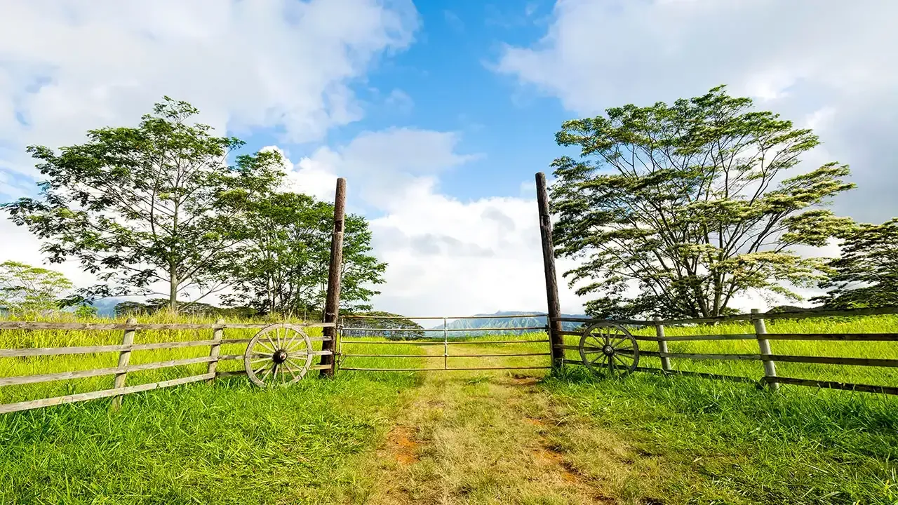 Discover authentic ranch life in Waimea with This Week Hawaii.