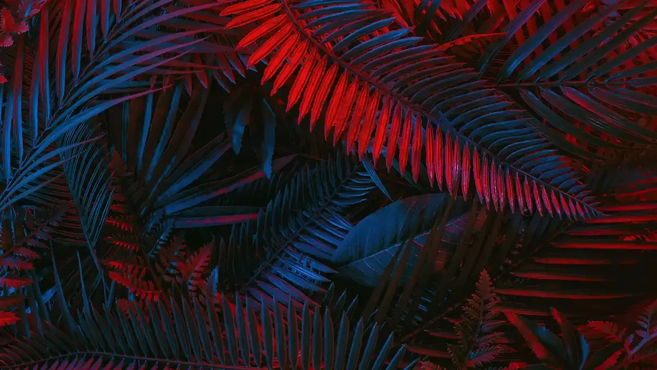Find out about traditional Hawaiian art styles with This Week Hawaii.