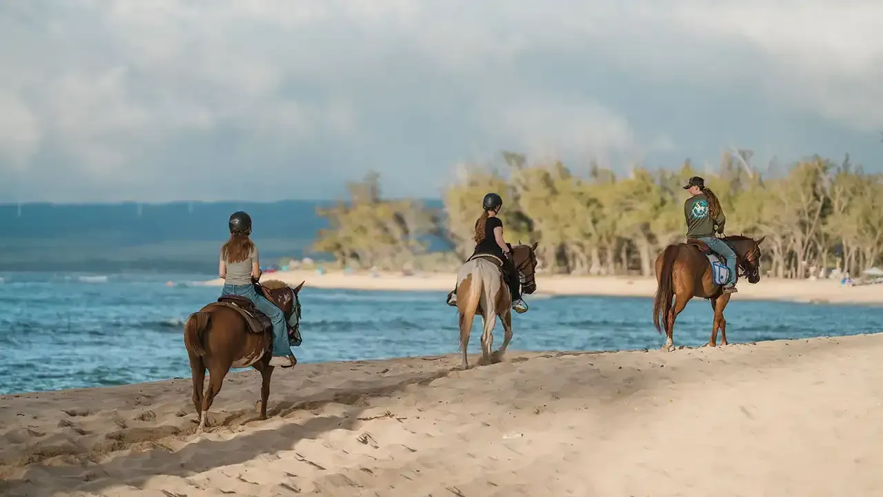 Discover what makes hoseback riding on Hawaii so special with This Week Hawaii.