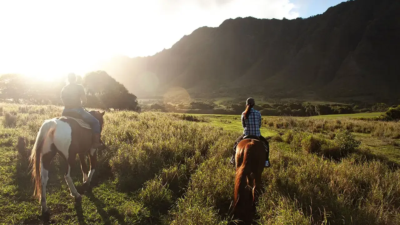 Discover horseback riding on Hawaii with This Week Hawaii.