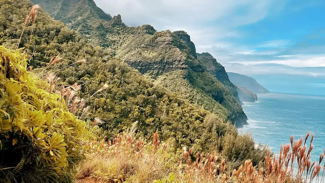 Planning a vacation to the island of Kauai? Let the Hawaii travel experts at This Week Hawaii help.