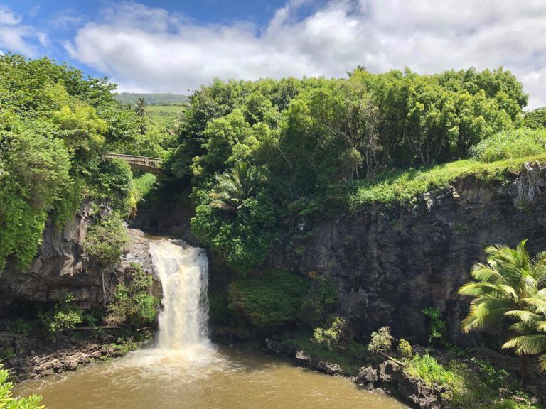 A waterfall in the middle of a lush green forest