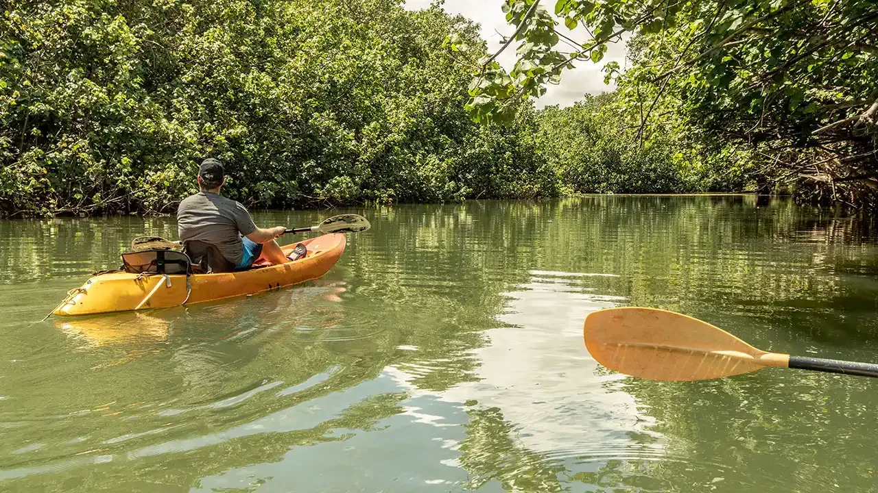 Should you join a guided tour or go it alone? Let This Week Hawaii help you decide.
