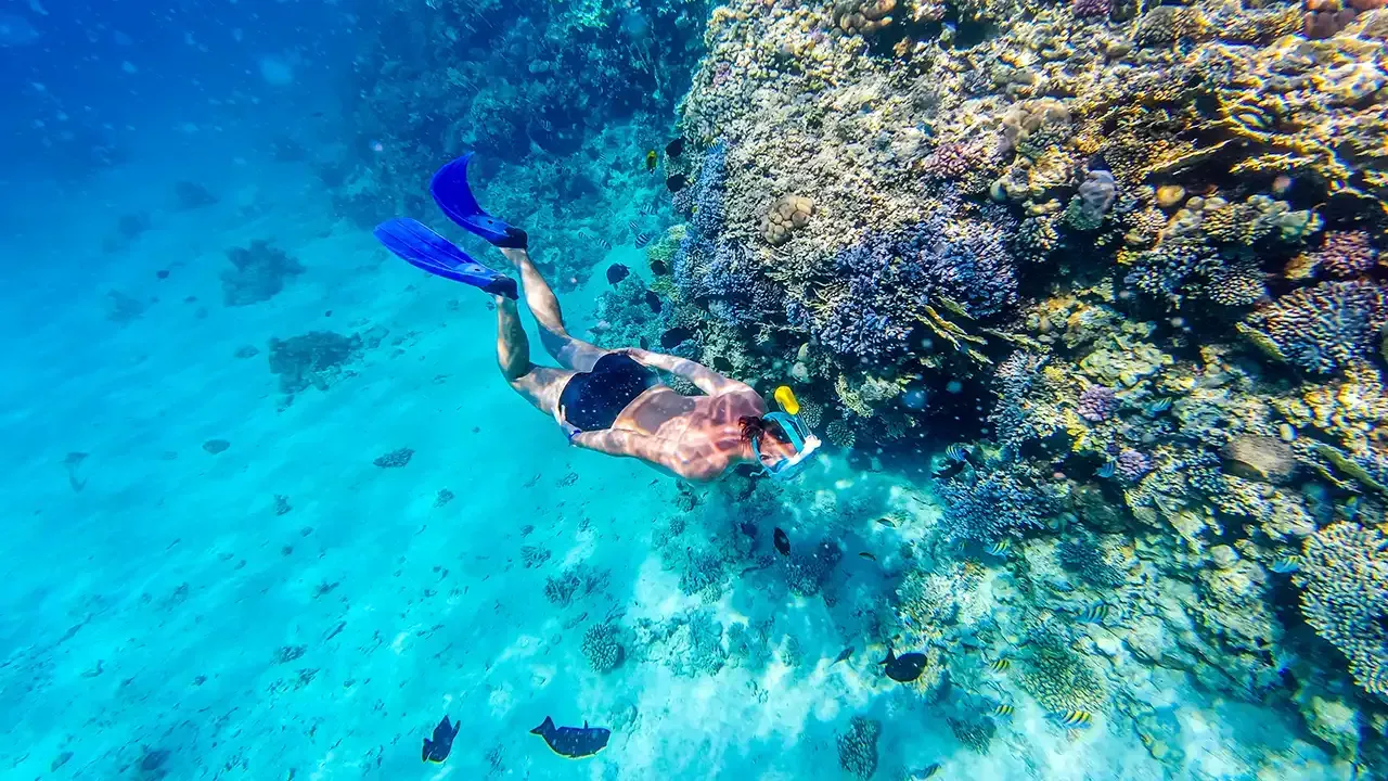 What you should know about protecting Hawaii's reefs.