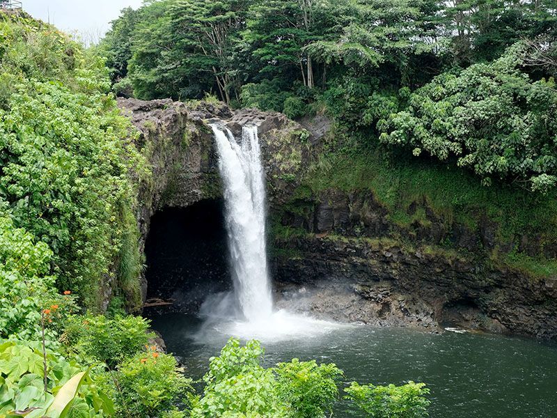 A waterfall is surrounded by trees and a body of water.